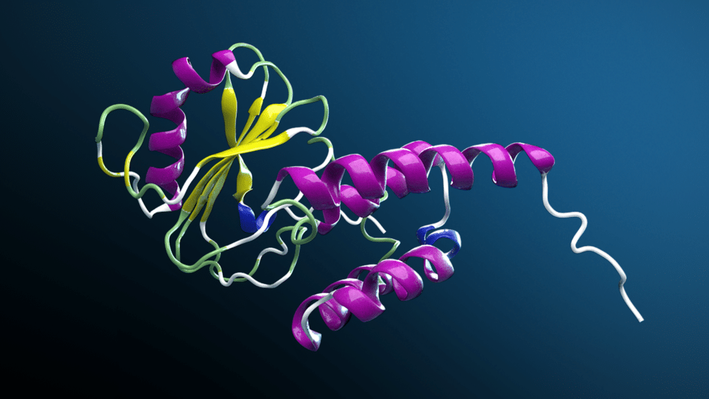 NVIDIA stimule la biologie numérique avec le cadre ouvert BioNeMo pour l'industrie biopharmaceutique mondiale