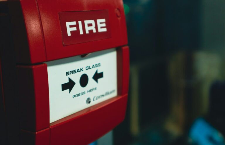 IoT et apprentissage automatique : la technologie qui veut anticiper les incendies dans les forêts espagnoles