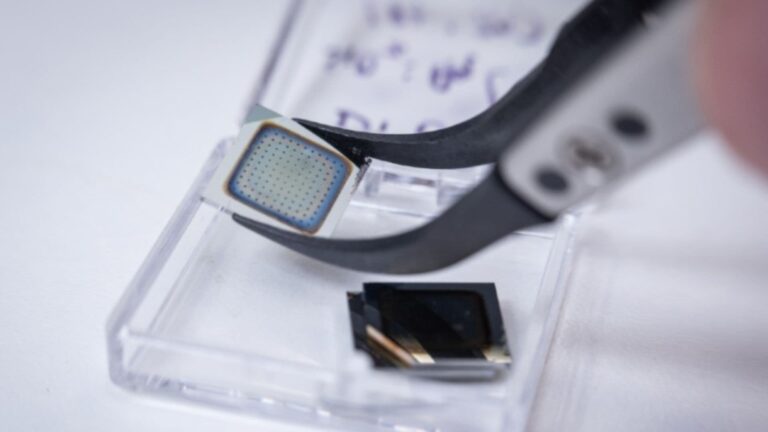 Un "transneurón" artificial rapproche la robotique d'une perception plus semblable à celle du cerveau humain