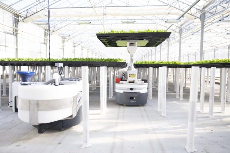 Hippo Harvest lève 30 millions pour agrandir ses serres robotisées