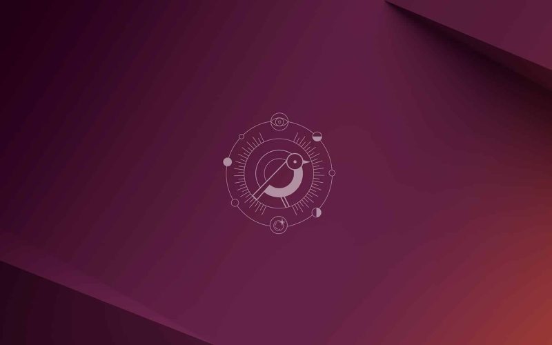 Canonical lance Ubuntu 24.10 "Oracular Oriole" avec des améliorations de sécurité et un noyau de dernière génération