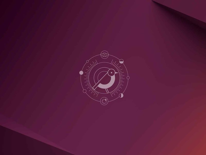 Canonical lance Ubuntu 24.10 "Oracular Oriole" avec des améliorations de sécurité et un noyau de dernière génération