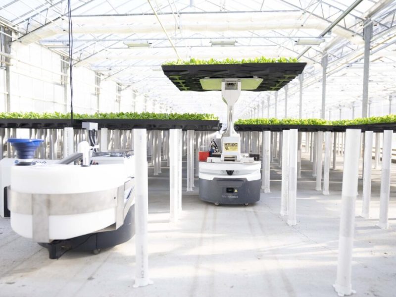 Hippo Harvest lève 30 millions pour agrandir ses serres robotisées
